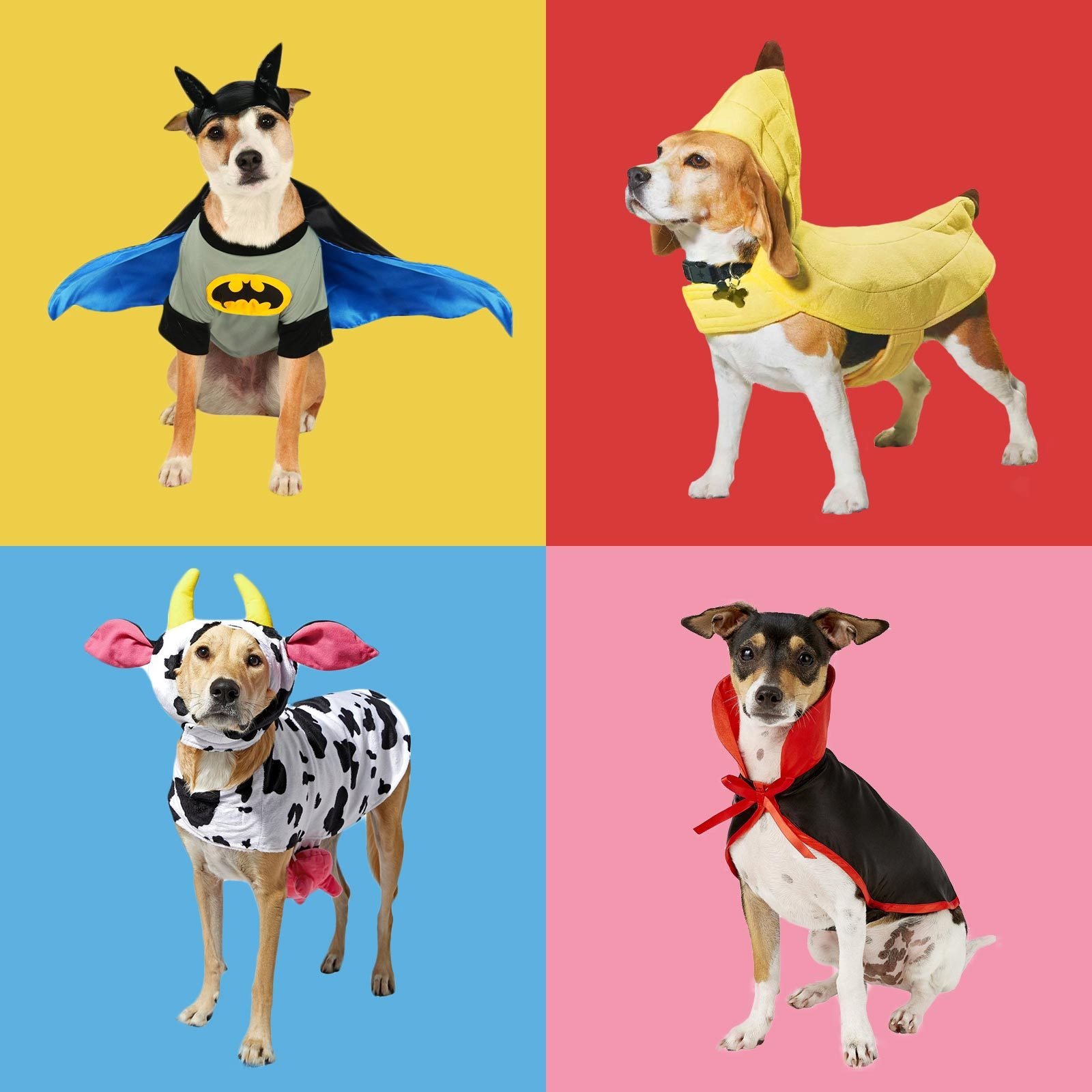 32 Best Last Minute DIY Dog Halloween Costume Ideas
