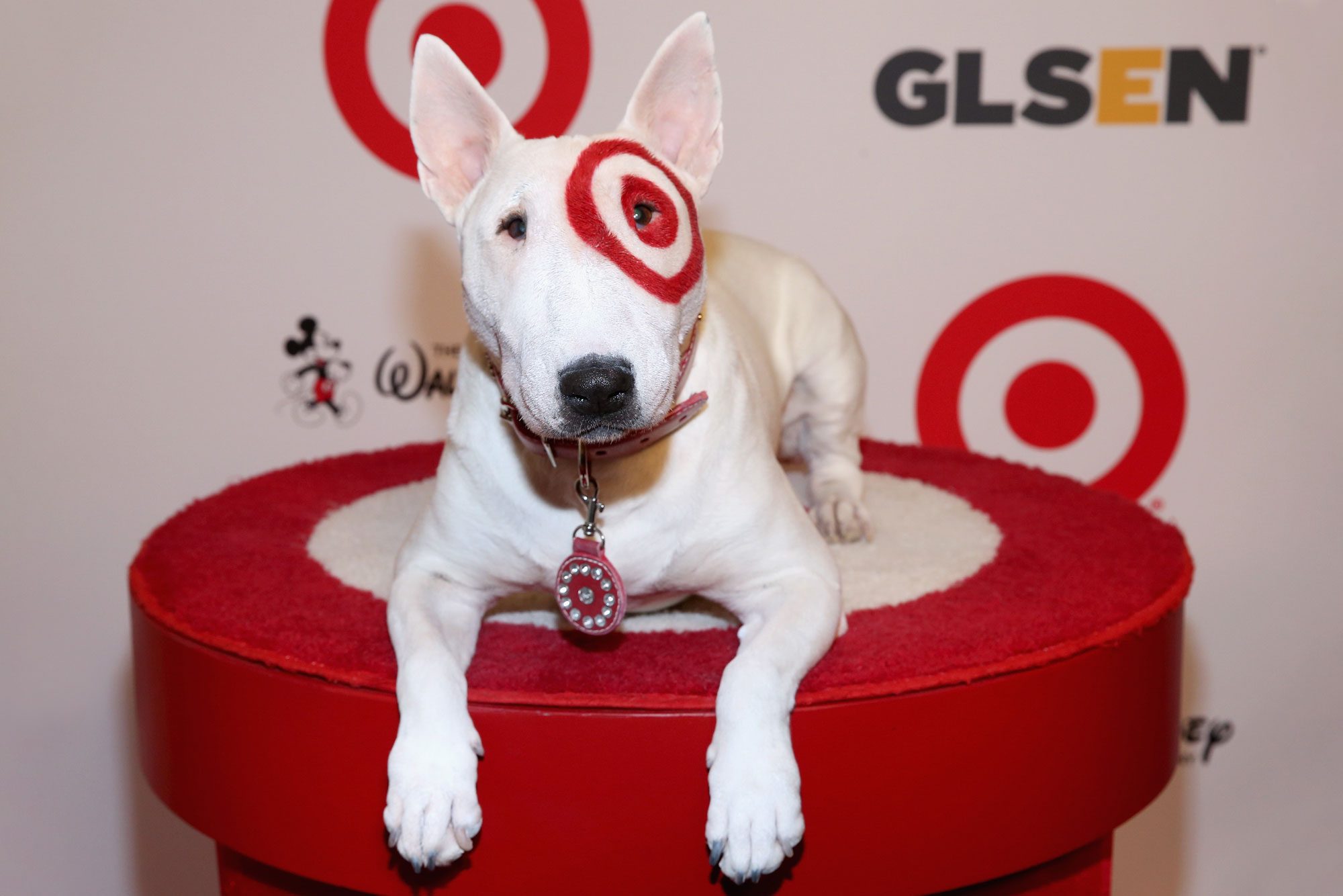 Who Is the Target Dog? Reader's Digest