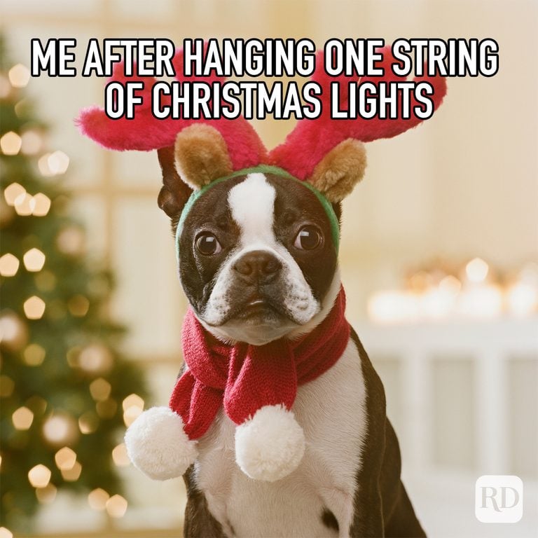 30 Funny Christmas Memes [2022]  Reader's Digest