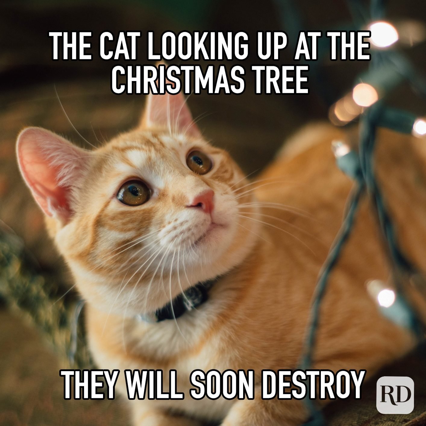Christmas Holiday Meme 2022 – Christmas 2022 Update