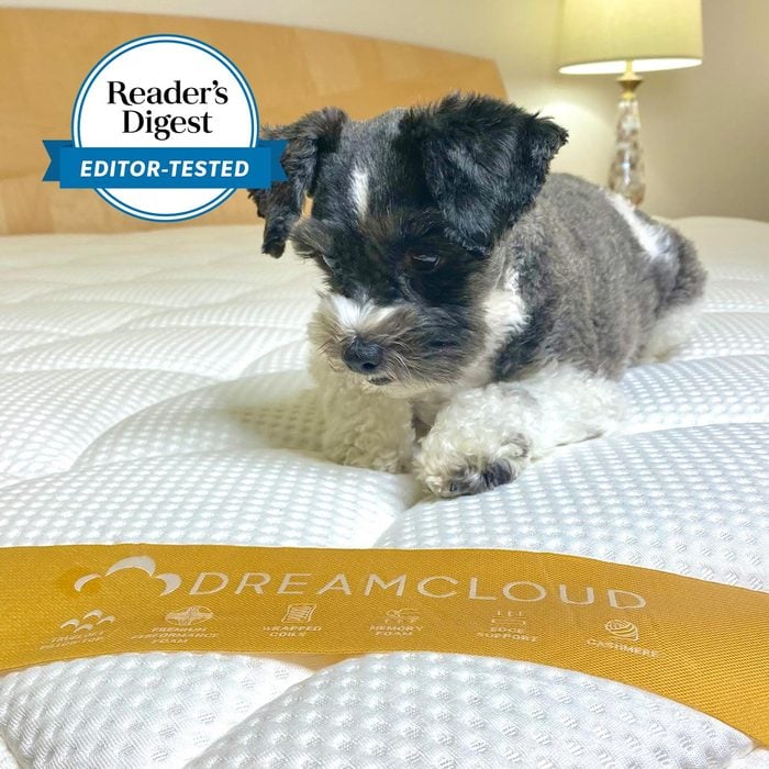 The DreamCloud Premier Rest Mattress