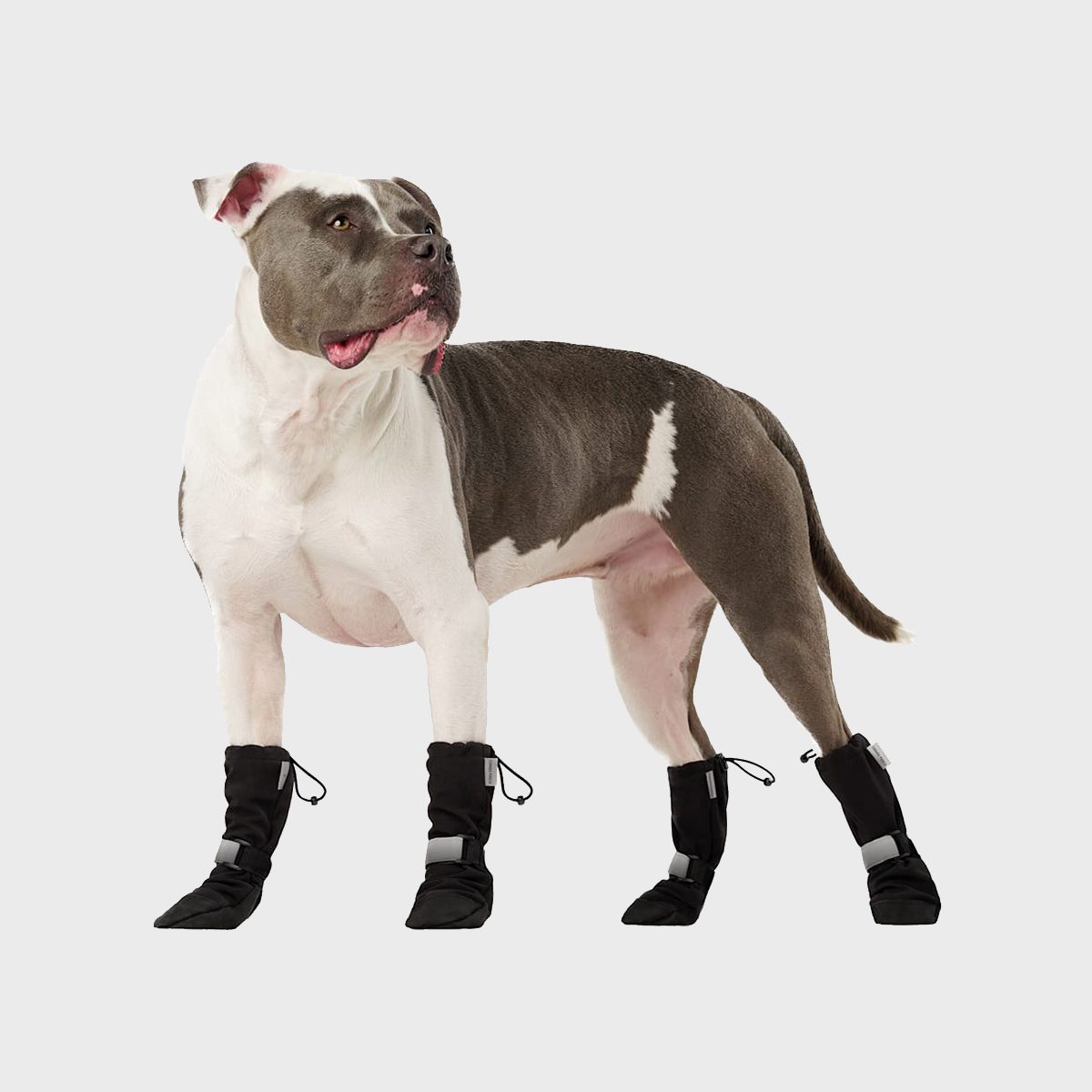 ExpertApproved Dog Boots for Winter Trusted Since 1922