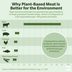 Is Plant-Based Meat Better for the Environment?