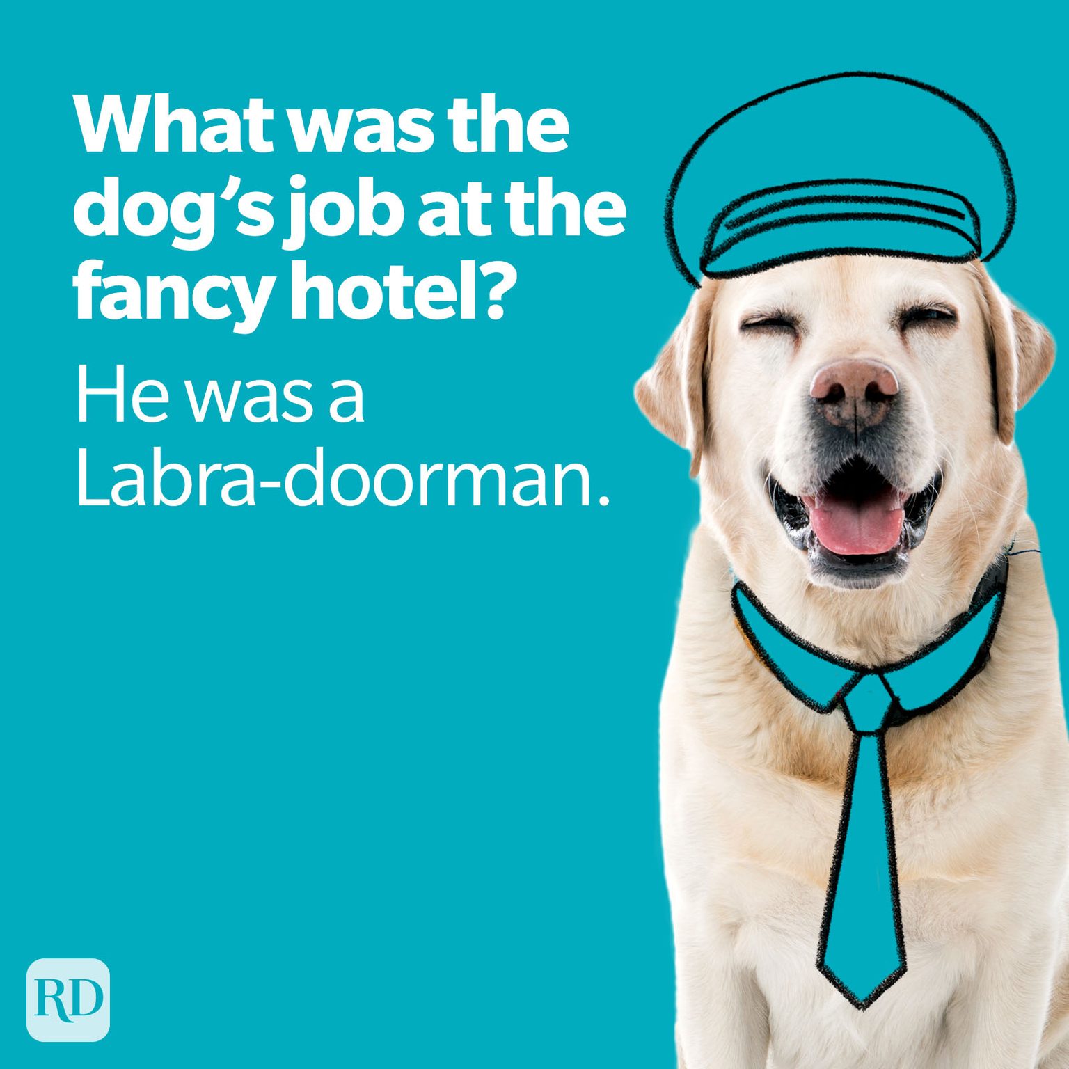 27 Dog Jokes For Kids That Will Have Them Barking With Joy