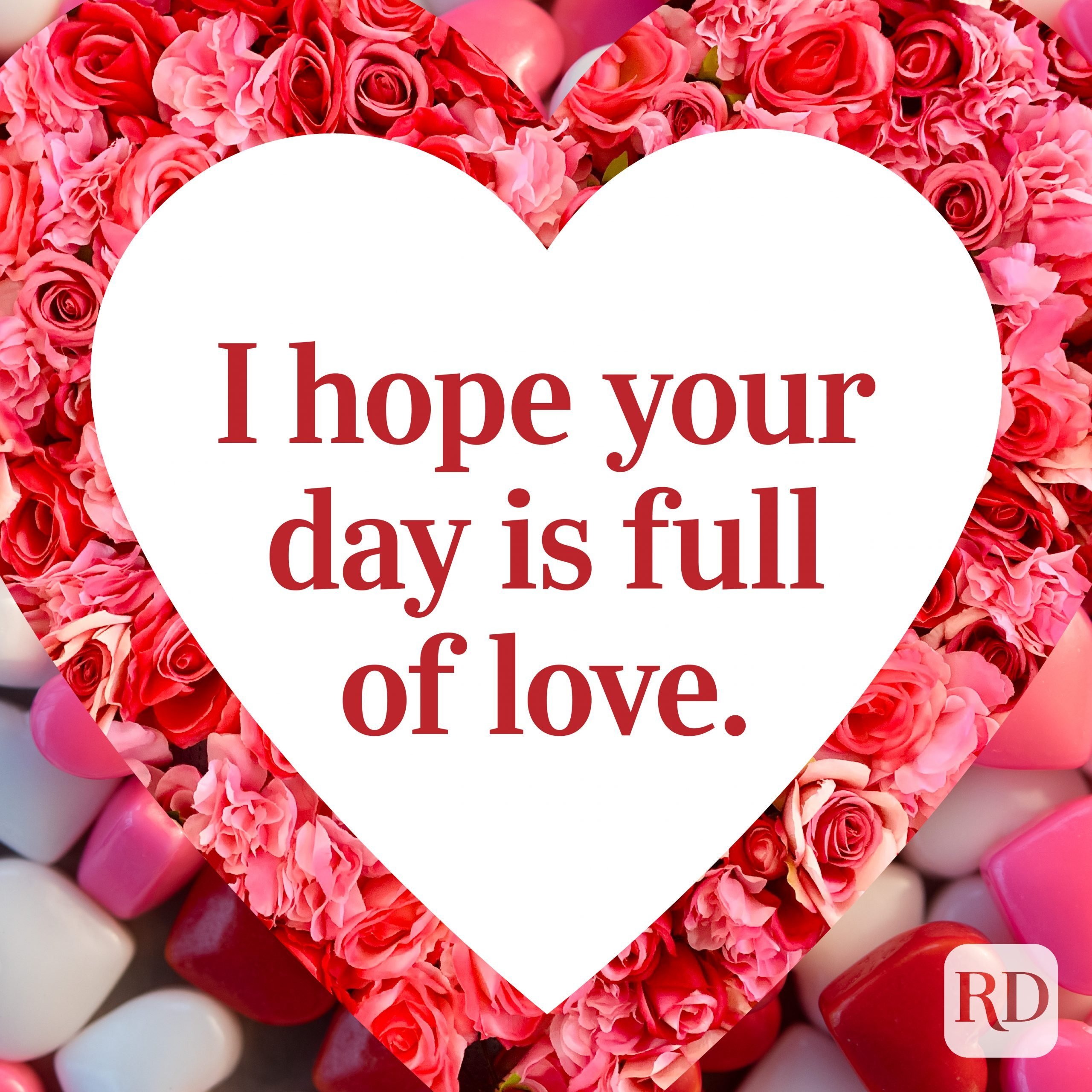 Happy Tuesday my love! 100+ best message, wishes, SMS ideas 