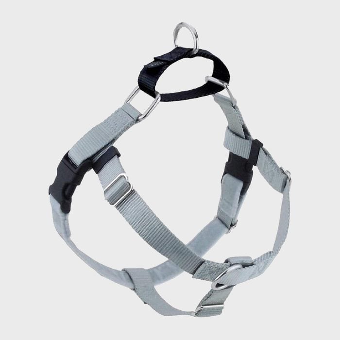 2 Hounds Design Freedom No Pull Dog Harness