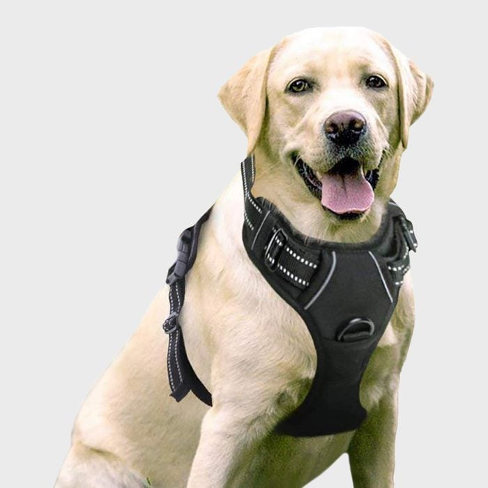 Rabbitgoo Dog Harness No Pull Pet Harness