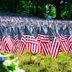 Memorial Day vs. Veterans Day: What's the Difference?