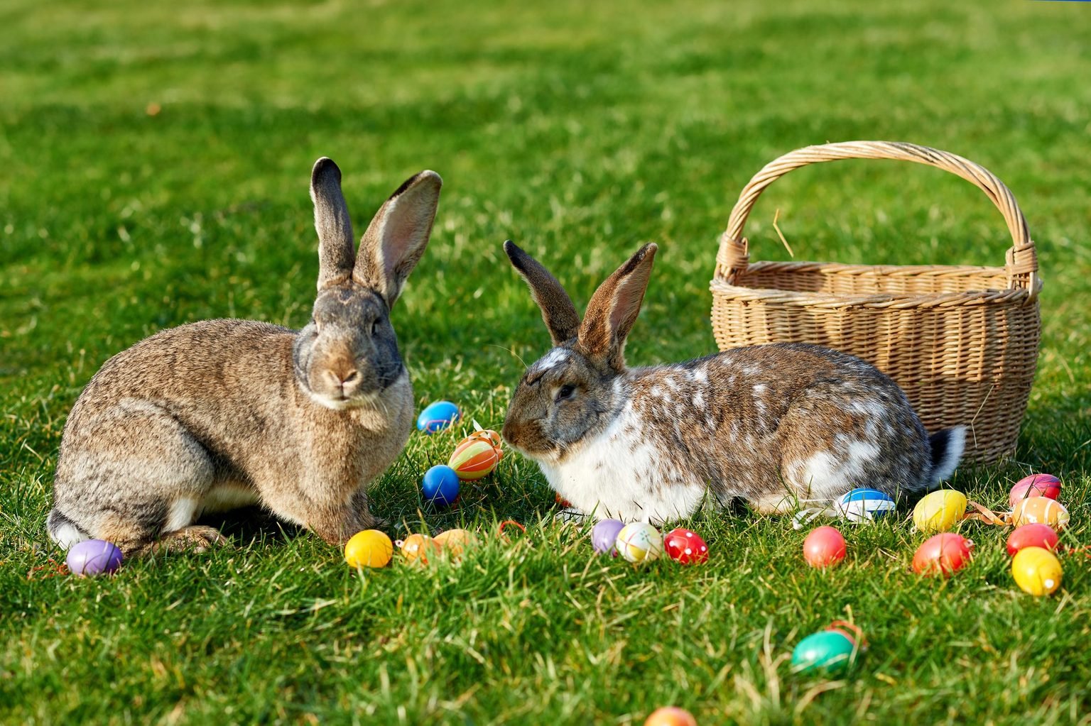 The History and Origins of Popular Easter Traditions