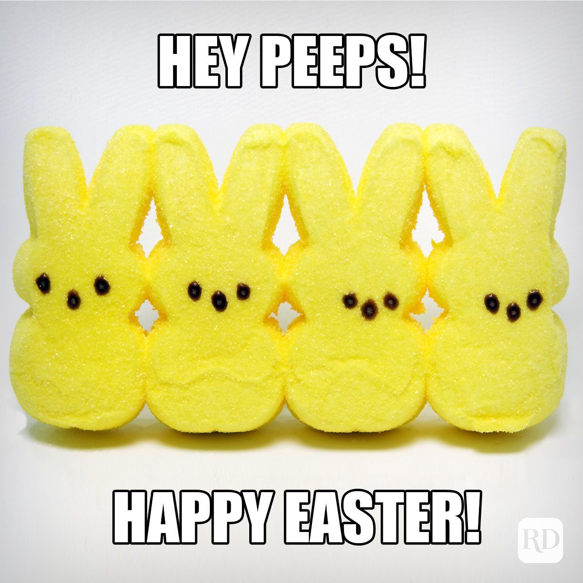 Easter Memes 35 Hilarious Memes About Easter [2023]