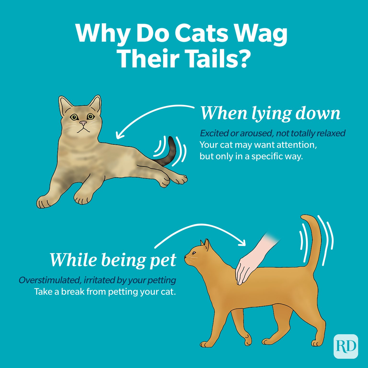 Why Do Cats Wag Their Tails? What a Cat Wagging Its Tail Means