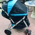 The Best Pet Stroller on Amazon, According to our Pet Expert