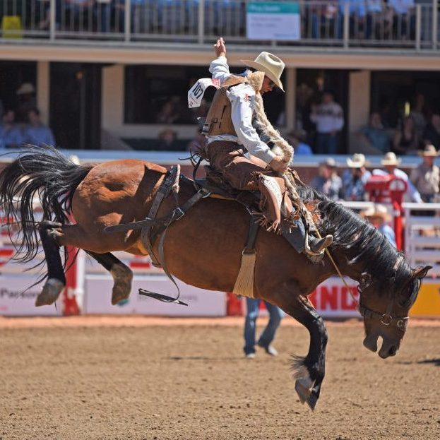 RODEO: JUL 07 Calgary Stampede