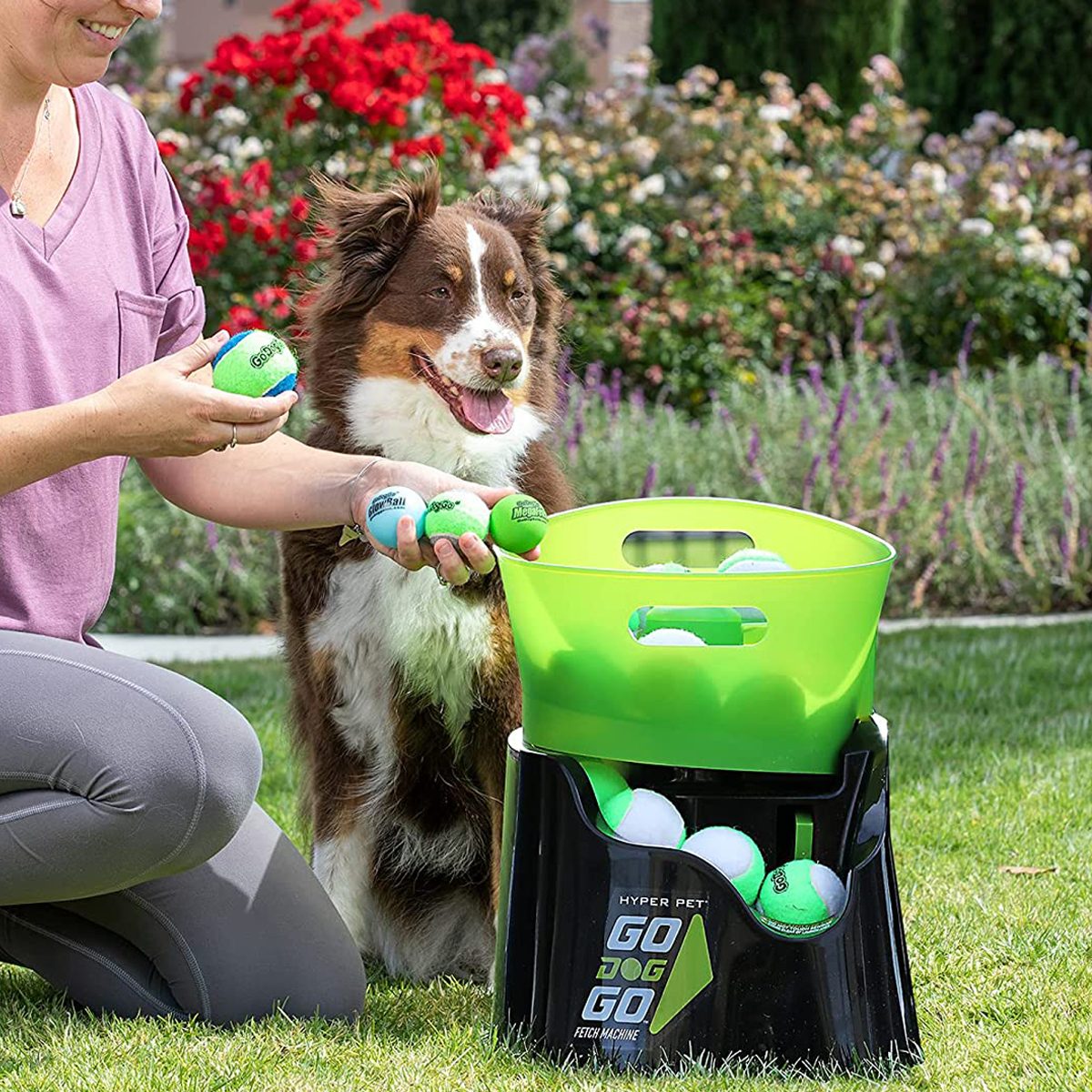 19 Toys to Keep Your Pet Active This Winter