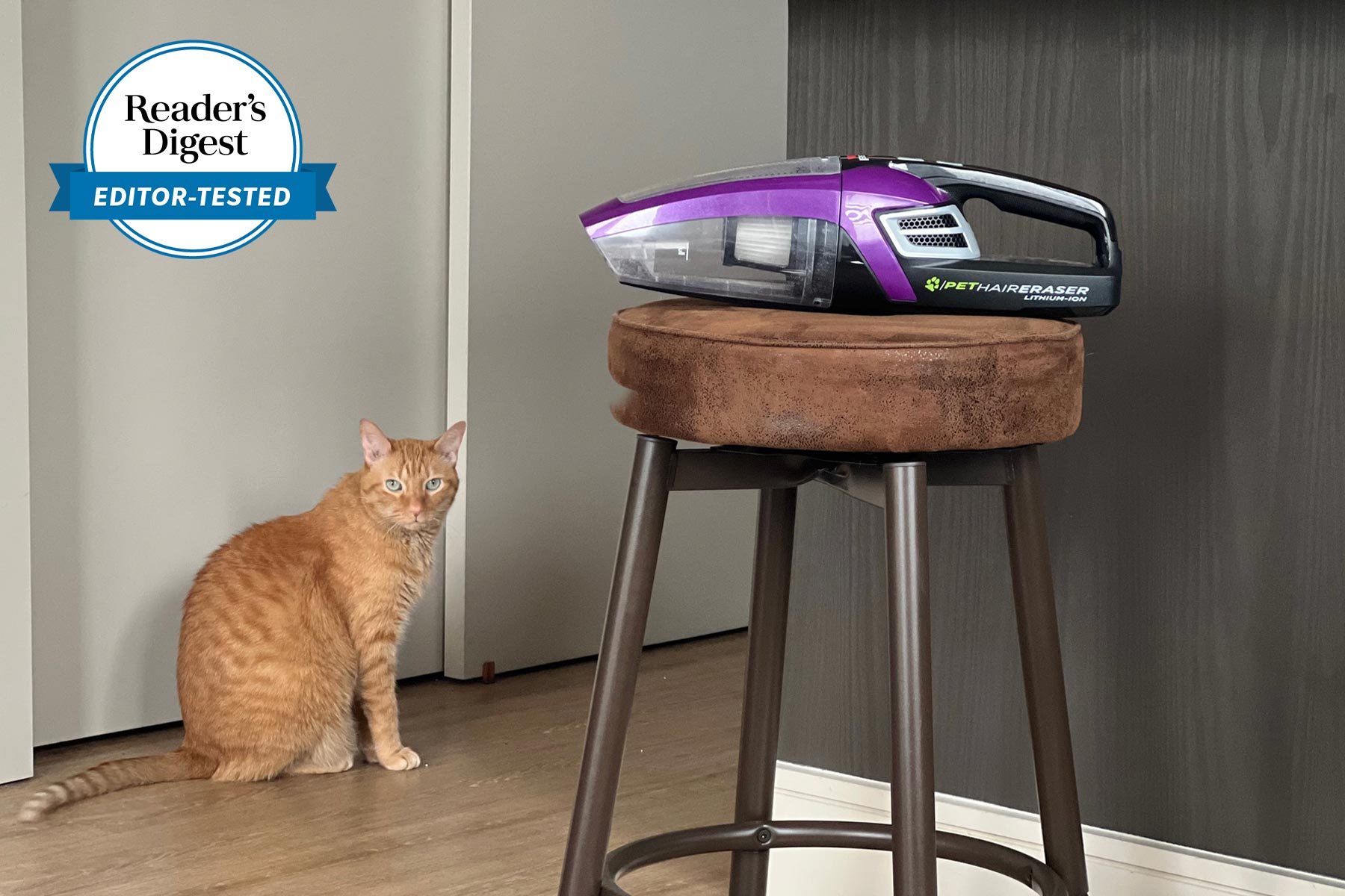 ChomChom Roller Review 2022: an Excellent Pet Hair Remover