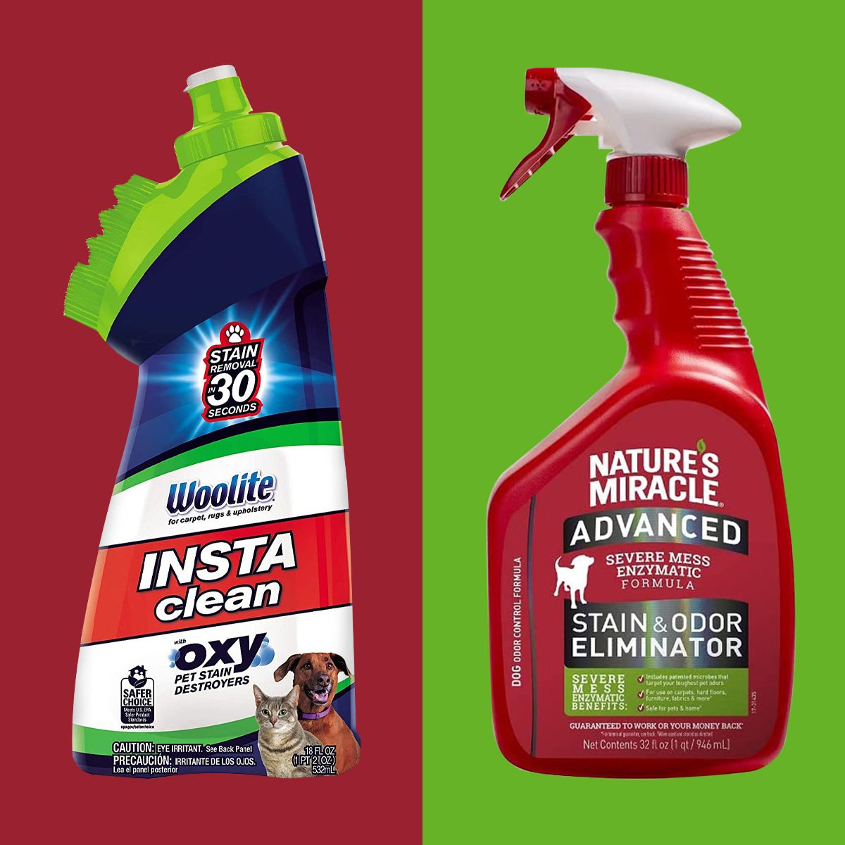 10 Best Pet Stain Removers of 2022 | Get Rid of Mud, Urine, Vomit, Odors 