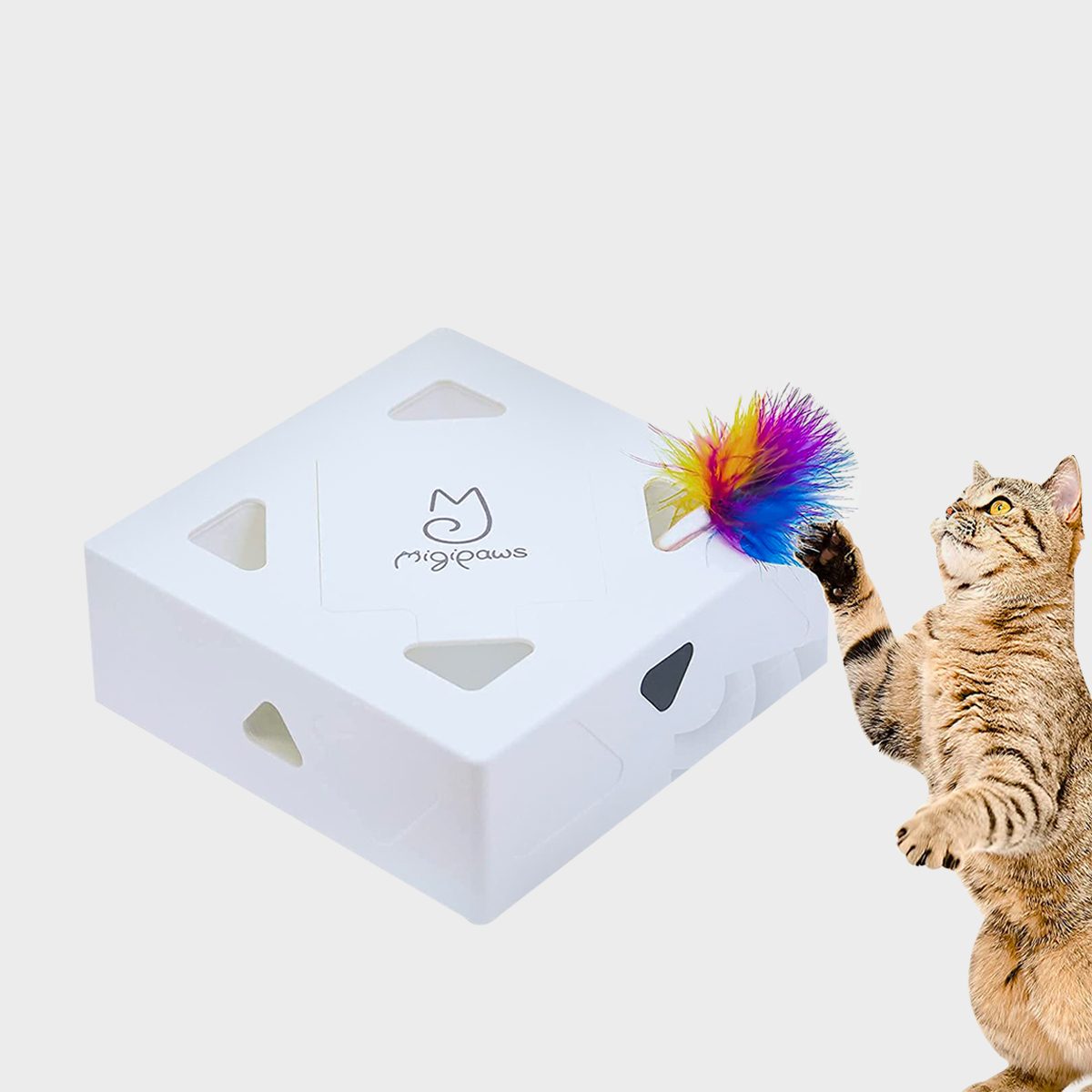 Interactive Tumbler Cat Feeding Toy - Large - Catwise Pet Shop