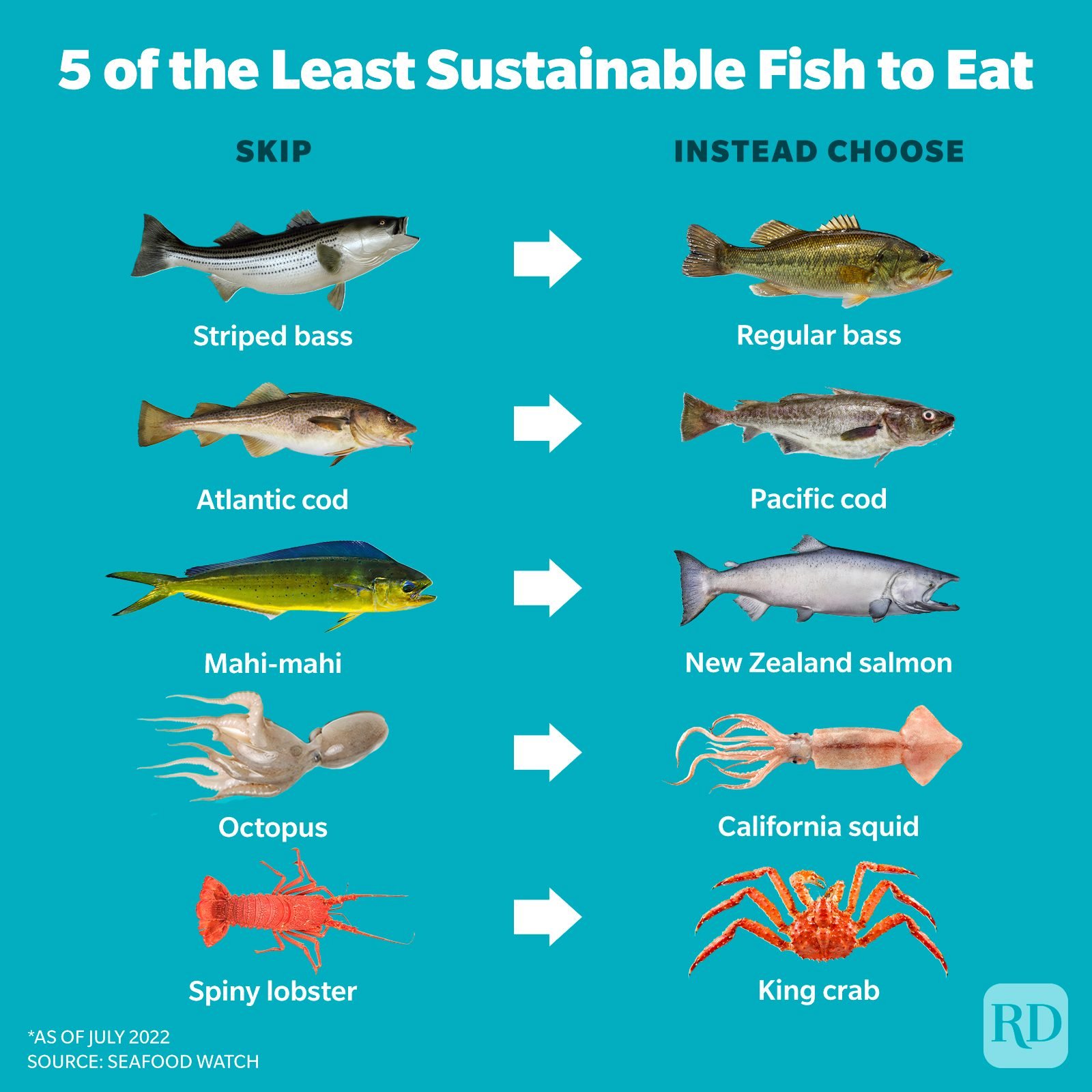 10 Fish Species You Can Eat With a Clean Conscience