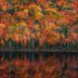 50 of the Most Stunning Pictures of Fall Across America