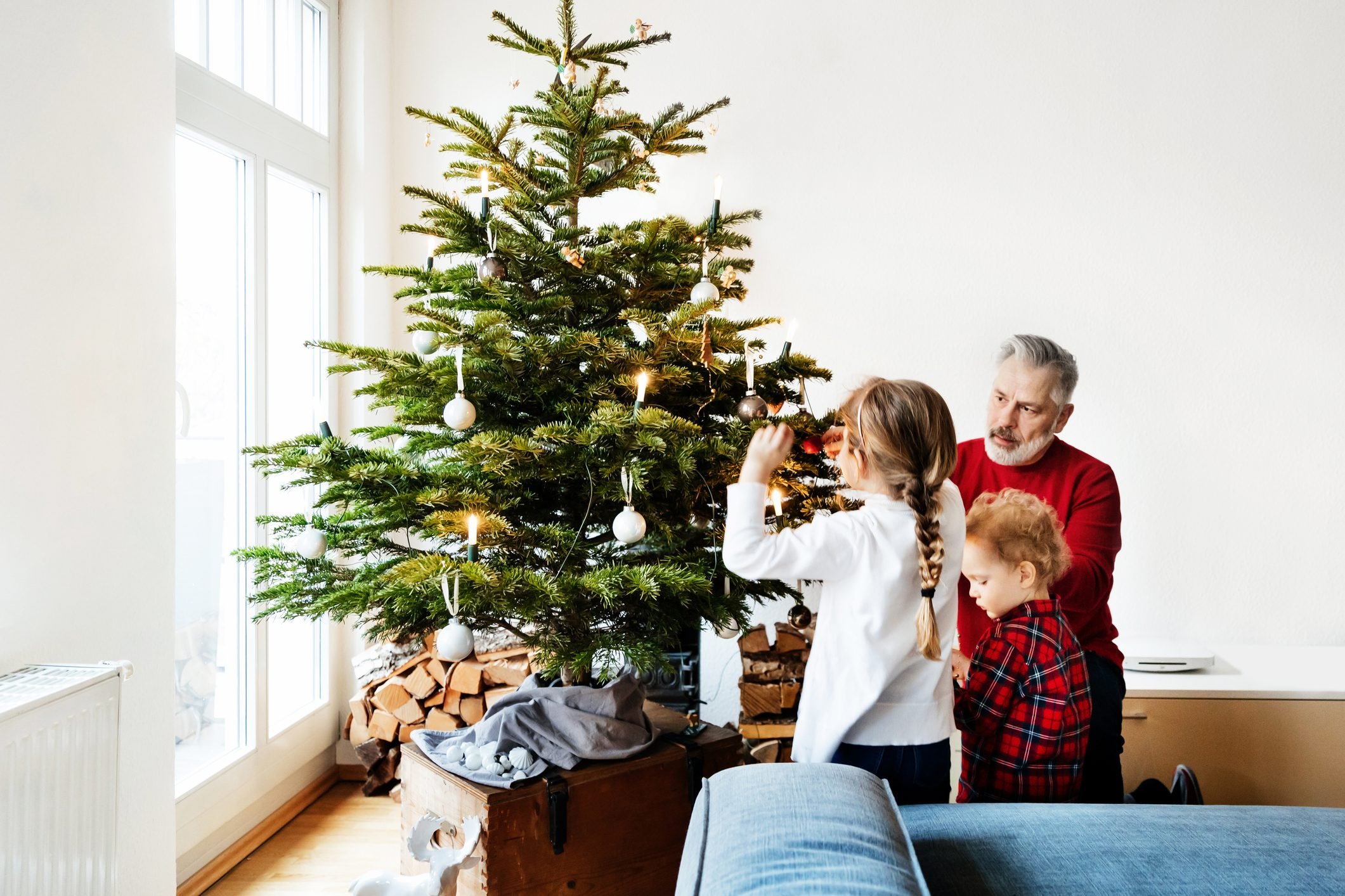 The true origin of the Christmas tree: A festive history