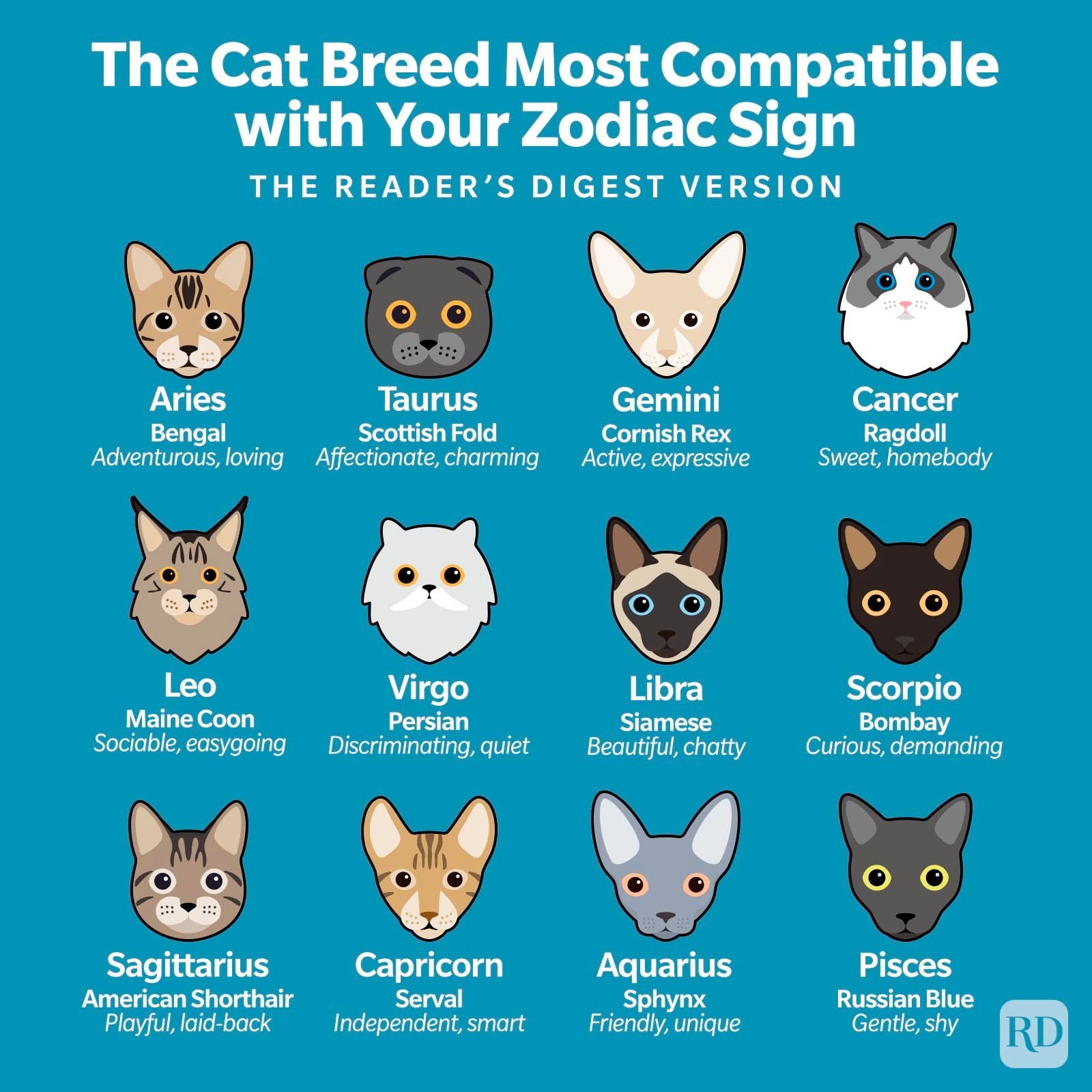 Zodiac Signs As Cat Breeds Which Cat Is Best For You