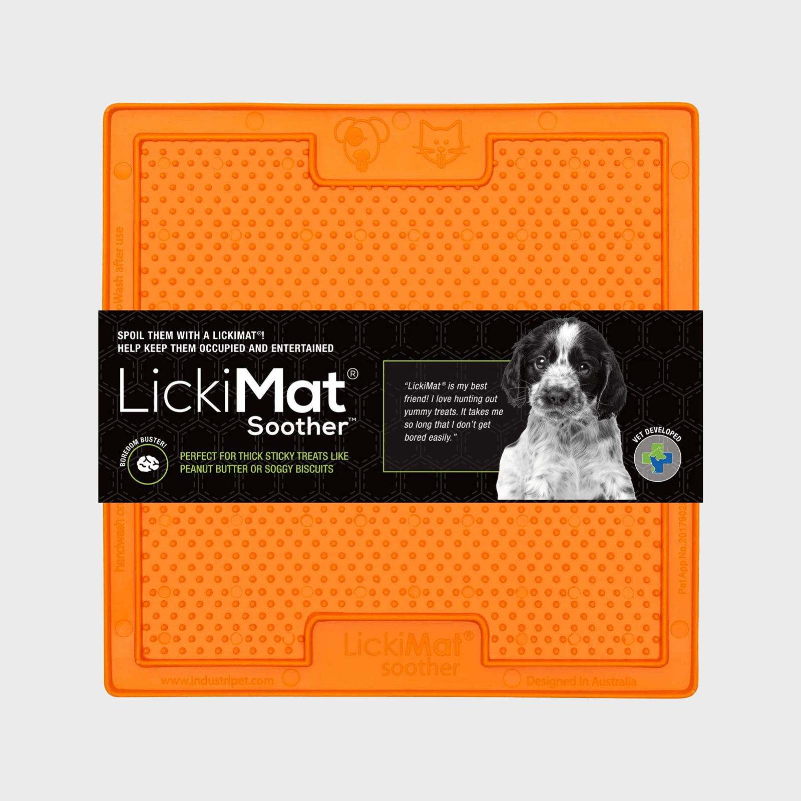 Frisco Silicone Treat Lick Mat