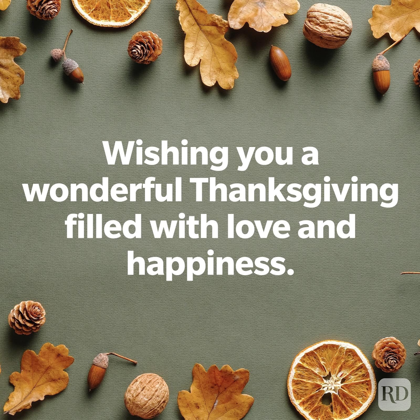 Happy Thanksgiving Wishes To Friends - Idalia Constantine