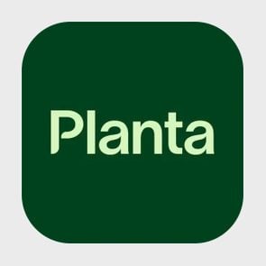 Best Plant Care Apps 1 Planta ?resize=295