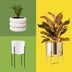 8 Best Indoor Plant Pots and Planters to House Your Growing Greenery