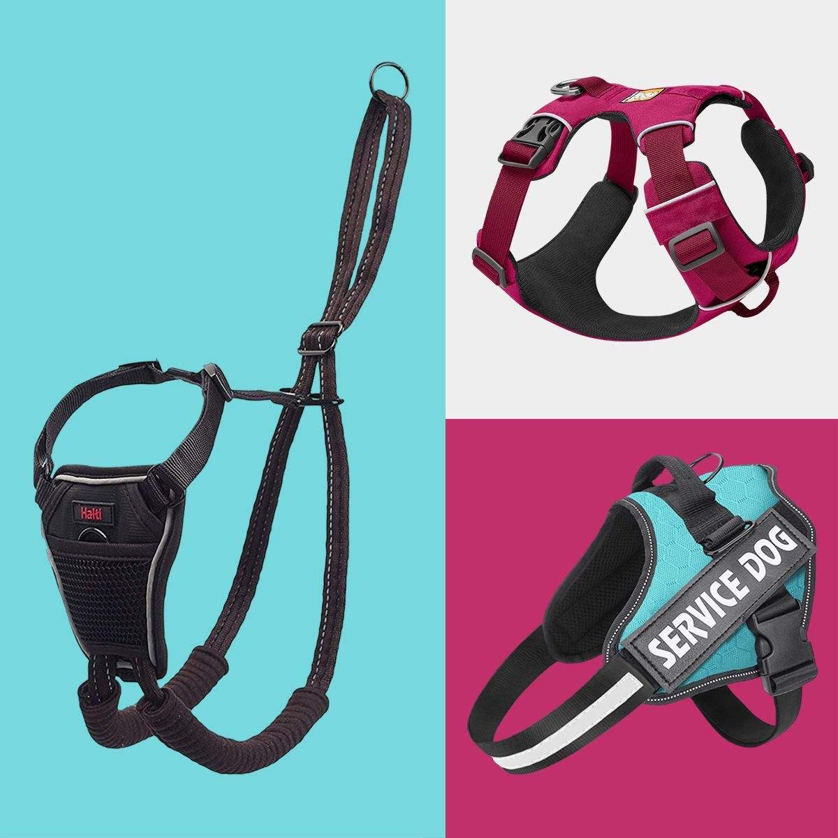 5 Best No-Pull Harnesses, Tested by Experts