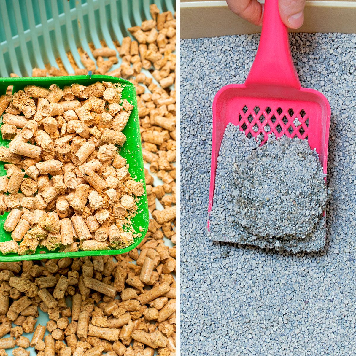 Wood Cat Litter vs Clay Cat Litter What's the Difference? Reader's