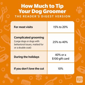 How Much To Tip Your Dog Groomer Infographic GettyImages ?resize=300