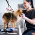 How Much Should You Tip Your Dog Groomer?