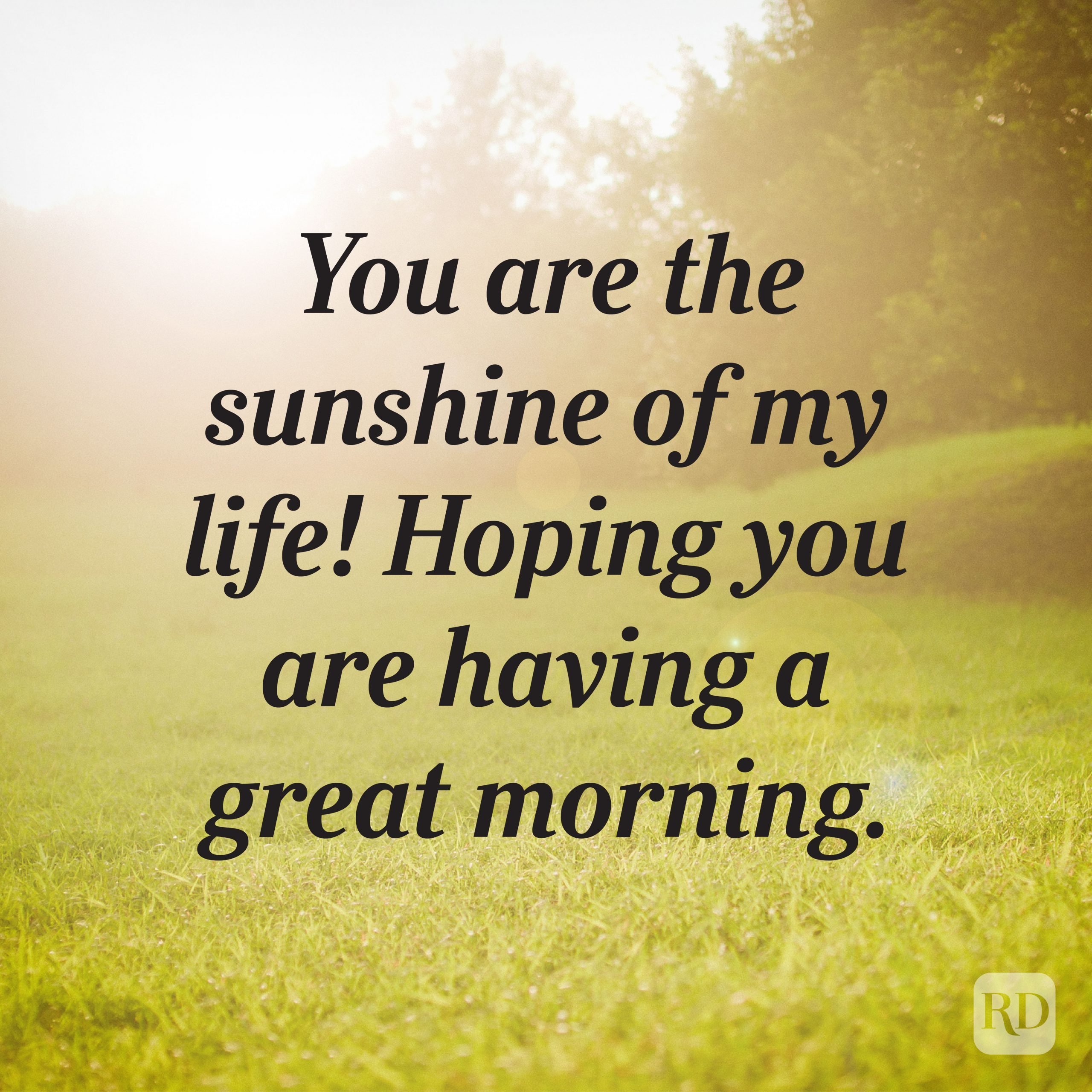 100 Best Good Morning Messages to Send Someone