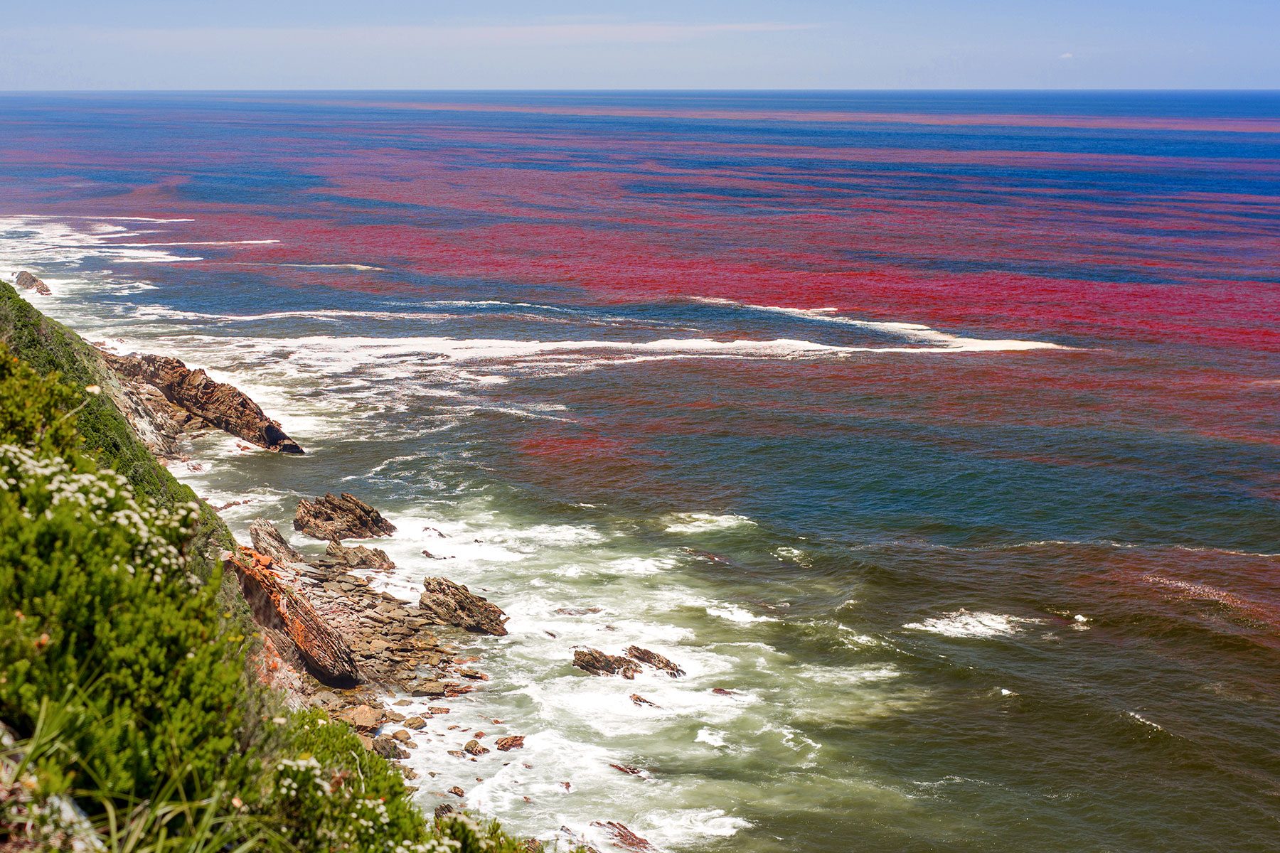 If You See Red Ocean Is What It | Reader's Digest