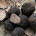 What Are Truffles—and Why Do They Cost So Much?