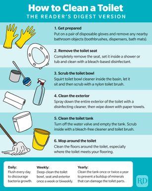 How to Clean a Toilet and Bidet: 8 Easy Steps to Follow | Trusted Since ...