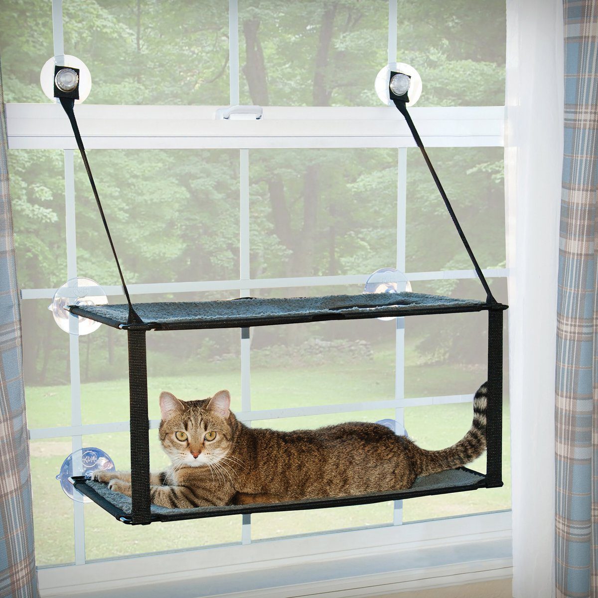 The best cat window perches in 2024