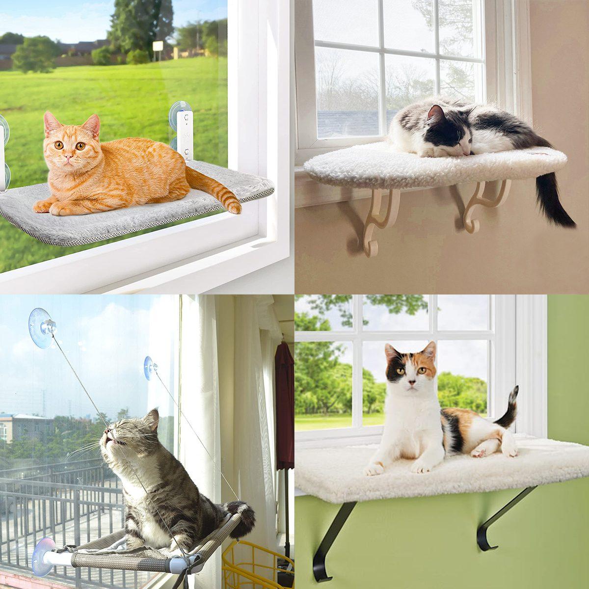 6 Best Cat Window Perches for Kitty to (Safely) Sunbathe and Birdwatch