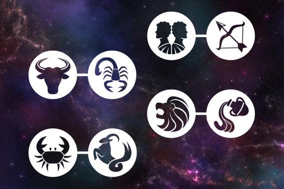 Zodiac Sister Signs: What They Are & What They Mean for Relationships