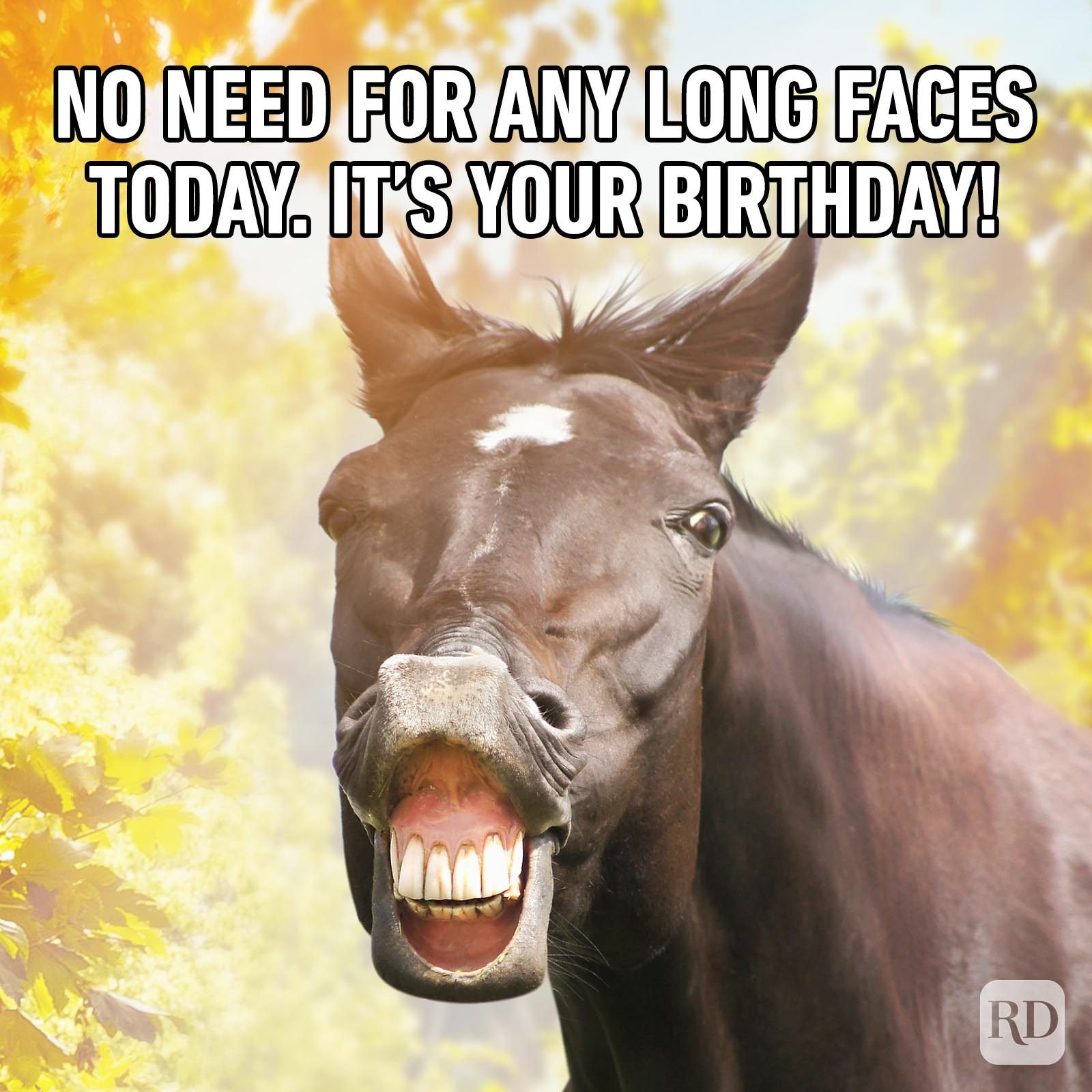 funny its my birthday pictures