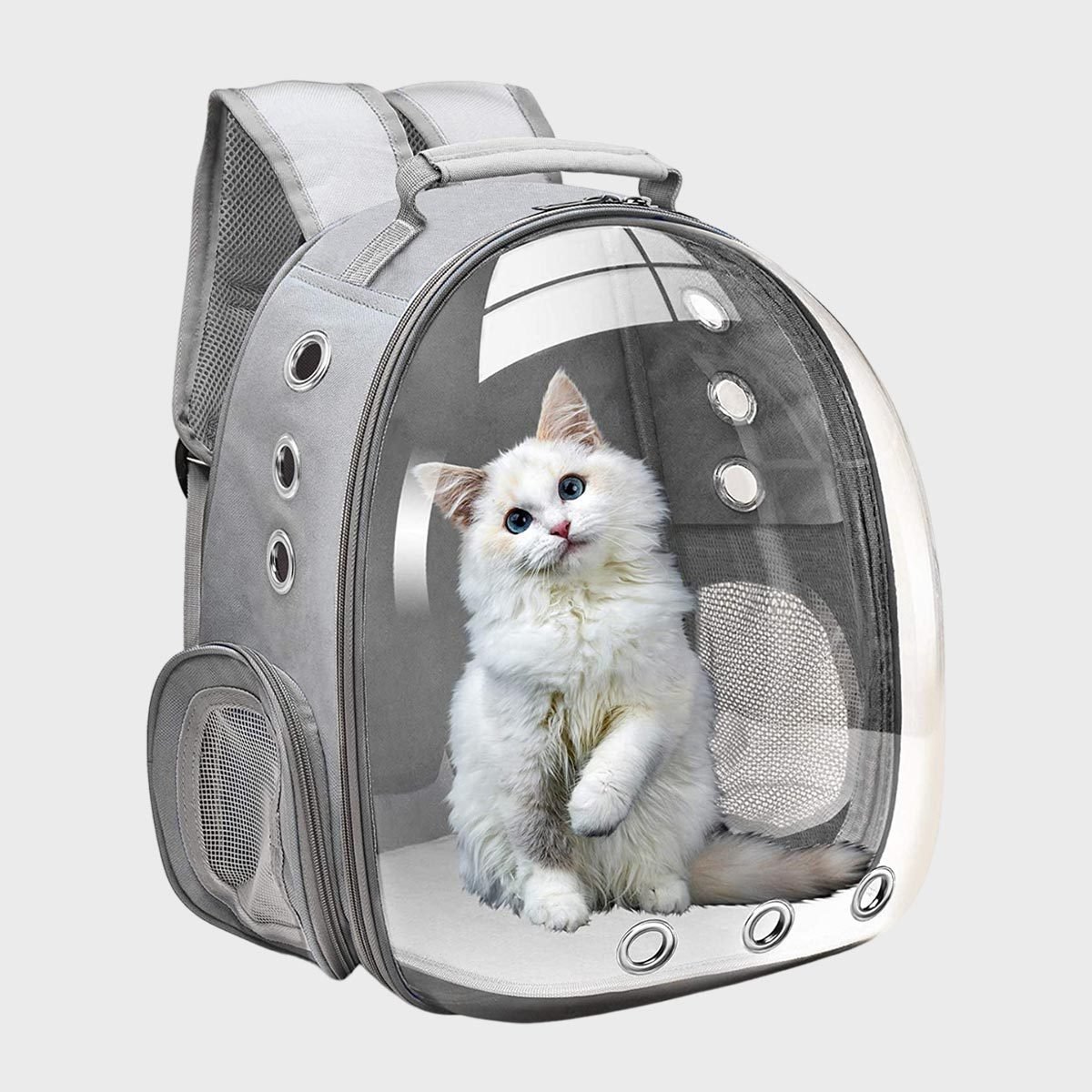 11 Best Cat Carriers For The Car - DodoWell - The Dodo