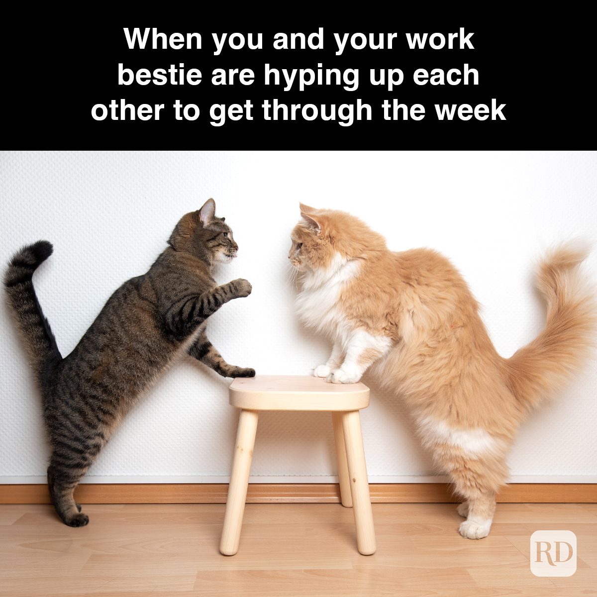80 Funny Work Memes 2023 — Funny Co-Worker Memes You'll Love