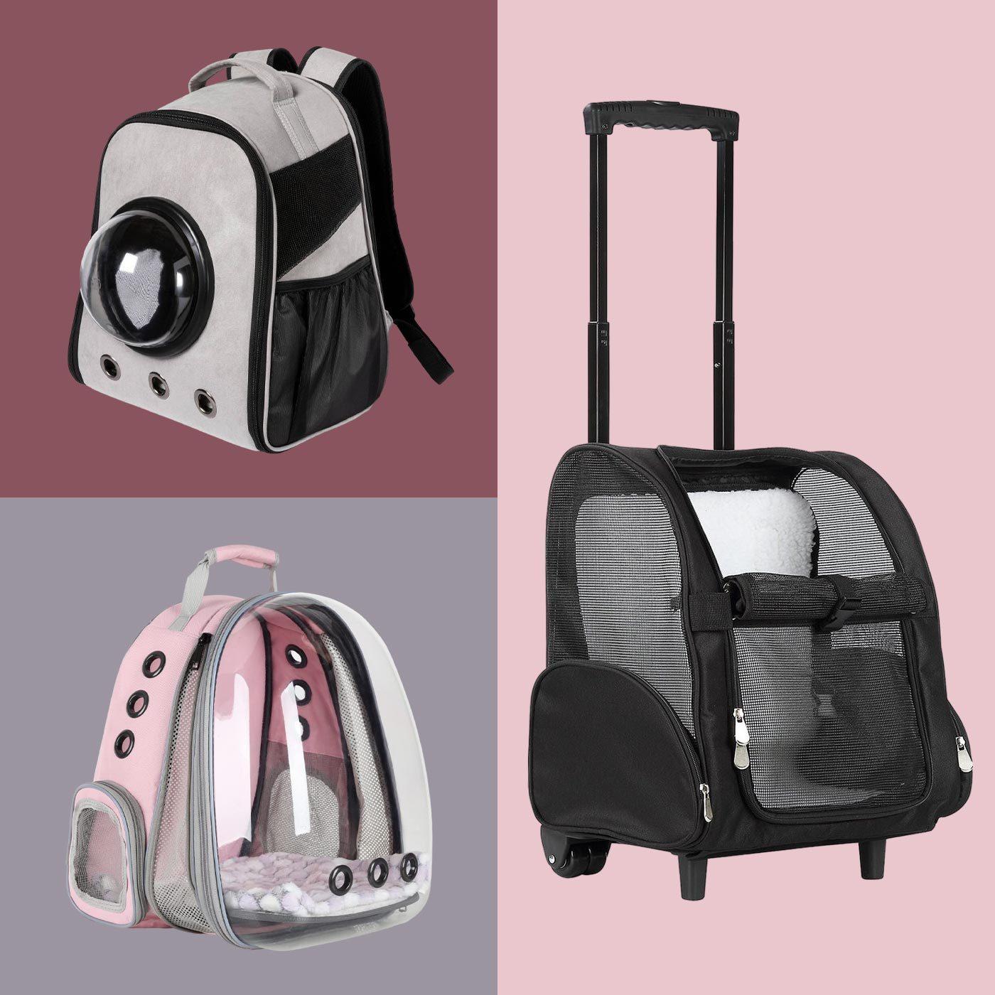 https://www.rd.com/wp-content/uploads/2023/05/5-Best-Cat-Backpacks-for-Hands-Free-Adventuring-with-Your-Feline_FT.jpg