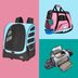 7 Best Cat Carriers for Safely Transporting Your Kitty (That Aren't Impossible to Get Your Cat Into)