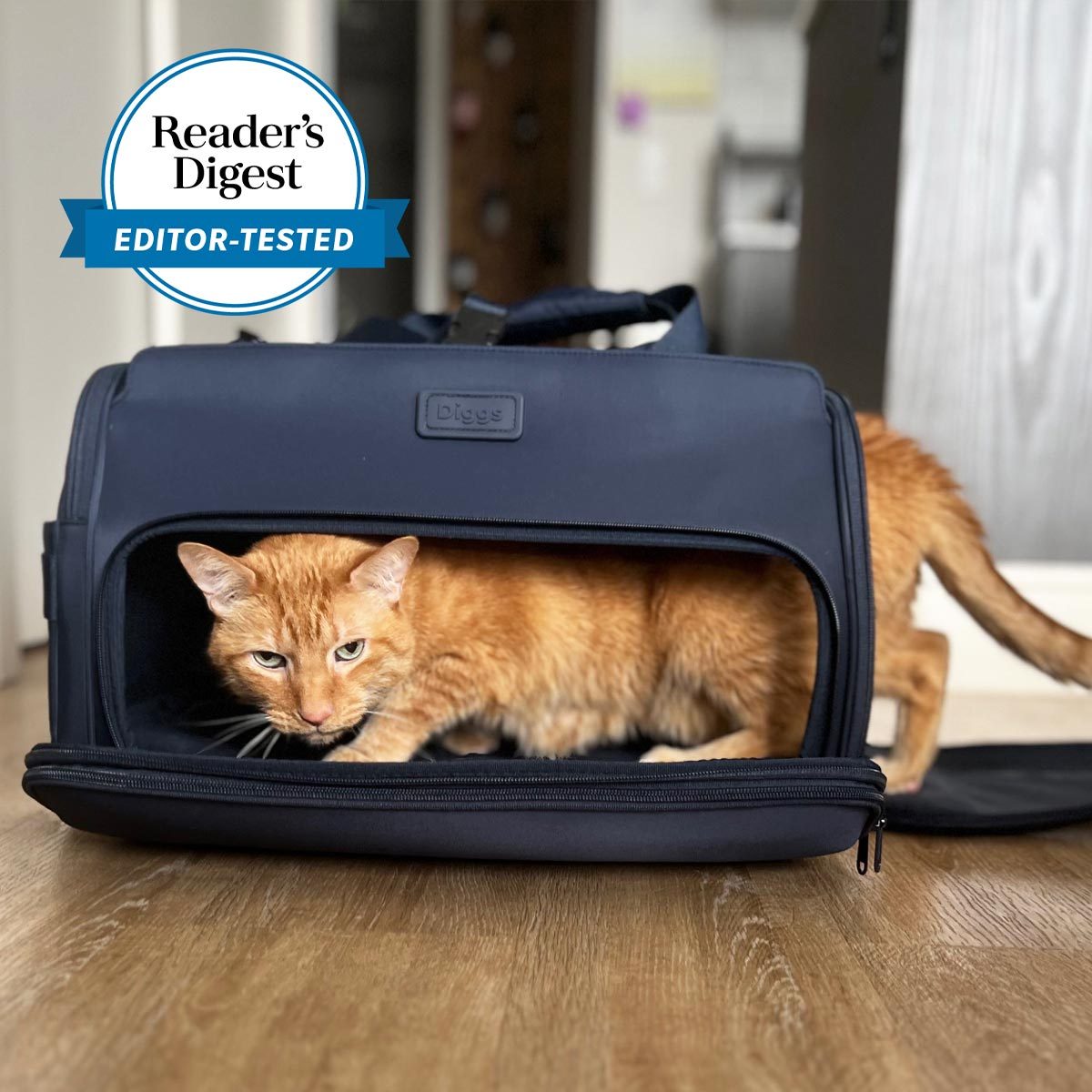The Best Cat Carriers That Even Your Feline Will Tolerate - Forbes