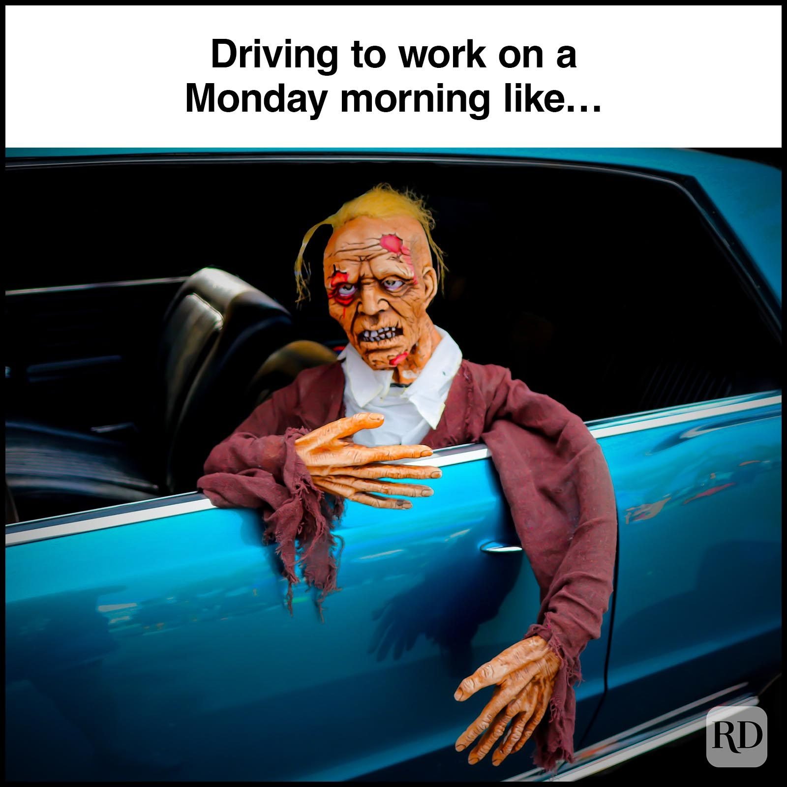 funny pictures about monday mornings