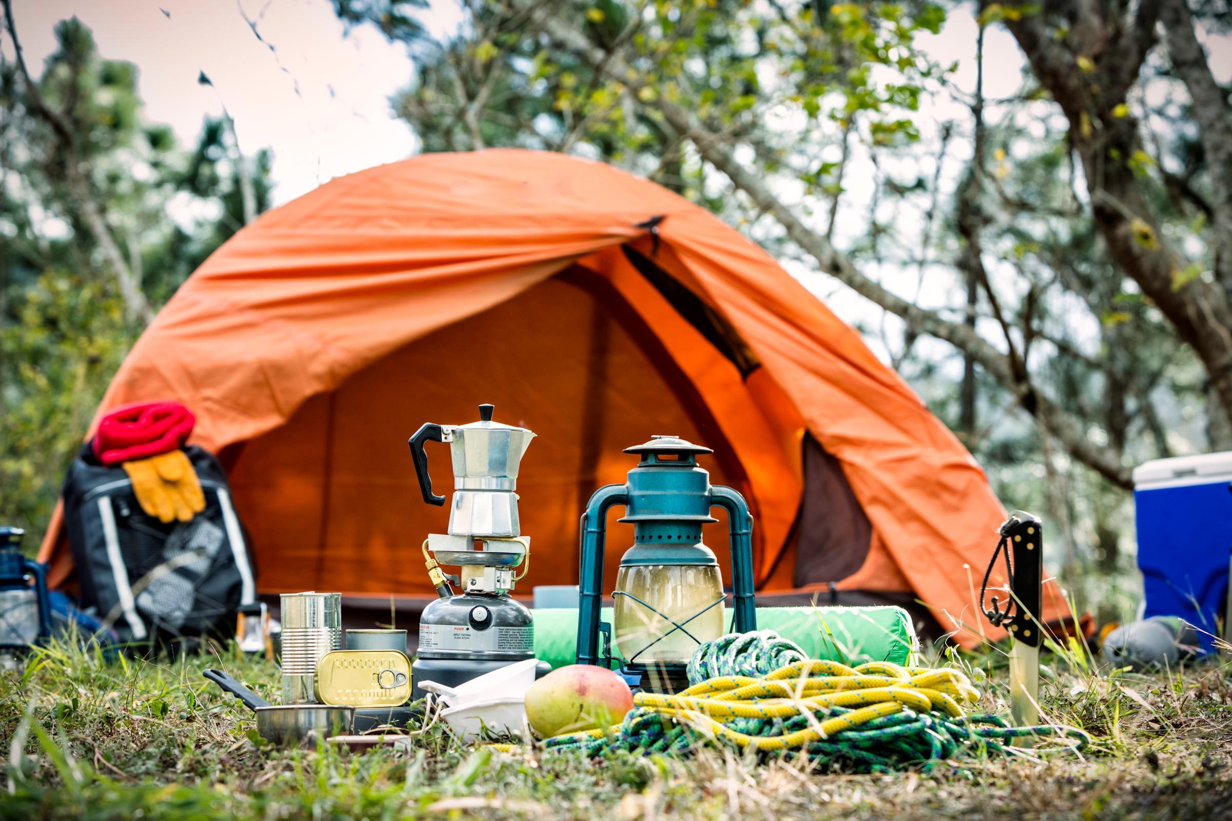 Essential Gear & Accessories for RV Beginners - We Didn't Back In to Our  Campsite - Do You Know Why? 