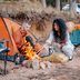 40 Fun Camping Activities for Your Next Outdoor Adventure