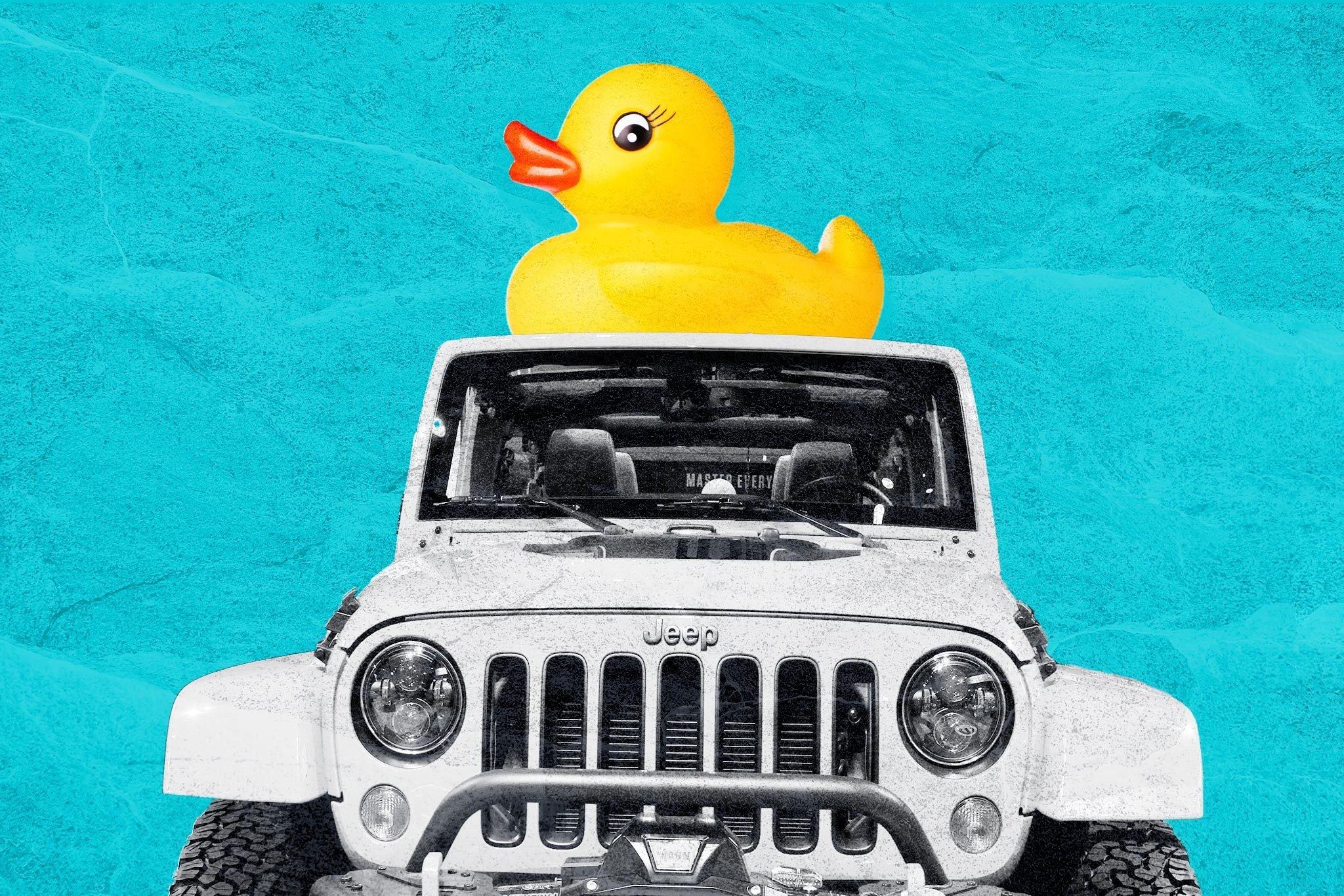 Jeep Ducks What They Mean, and How to Play Duck Duck Jeep Trusted